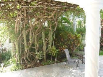 Baldwin'S Guest House Cozumel Exteriör bild
